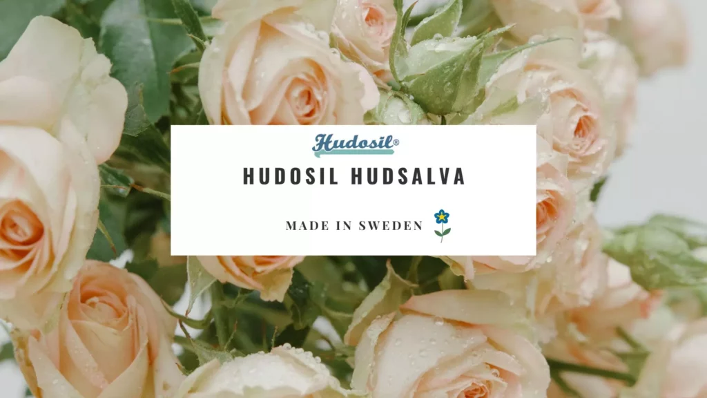 Hudosil